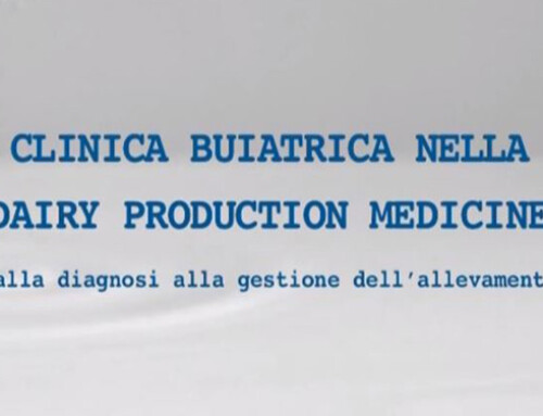 CLINICA BUIATRICA NELLA DAIRY PRODUCTION MEDICINE (2012)