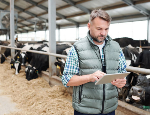 Il Consorzio Agrario del Nordest ricerca tecnico-commerciale per il settore vacche da latte