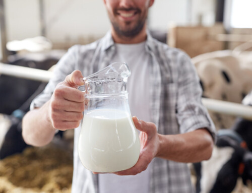 La capacità antiossidante del latte bovino: che cos’è e come migliorarla