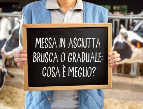 Messa in asciutta brusca o graduale: cosa è meglio?