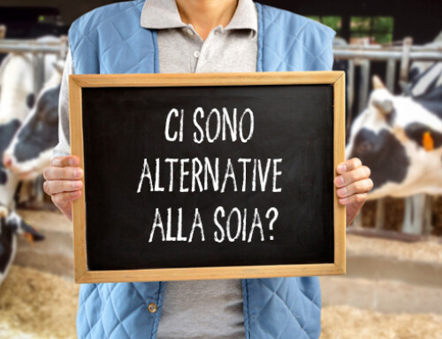 Ci sono alternative alla soia?