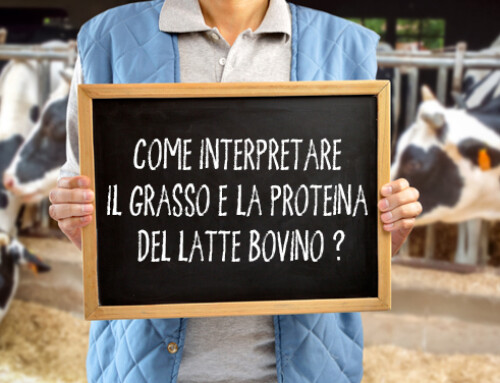 Come interpretare il grasso e la proteina nel latte bovino